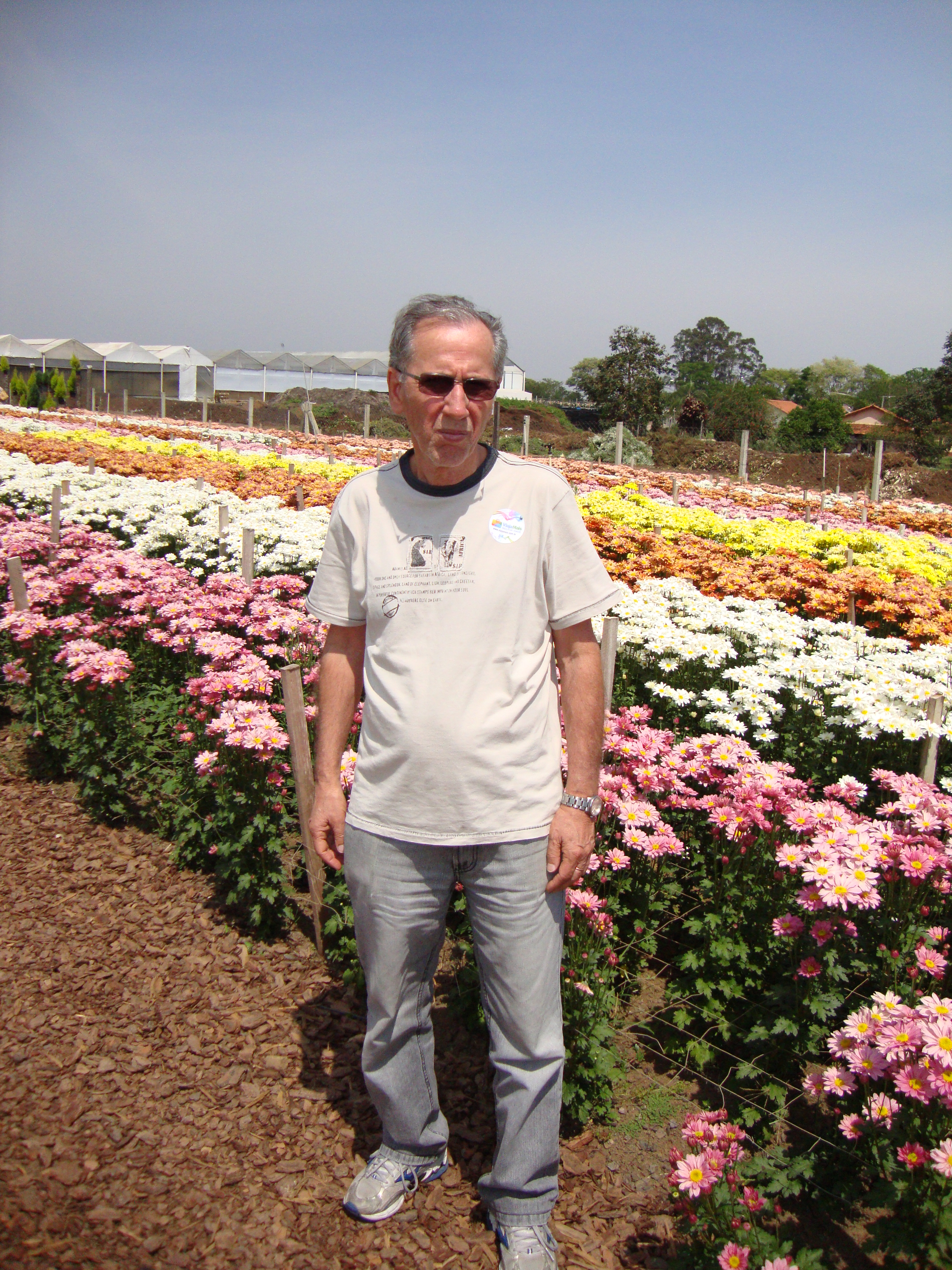 CLOVIS BERTOLUCI DE MORAES